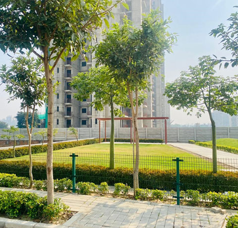 CNM Group Luxury Homes